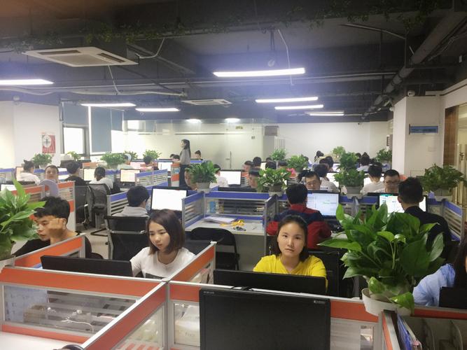深圳市信德盛金融服务有限公司 稳健领航金融信息服务新篇章